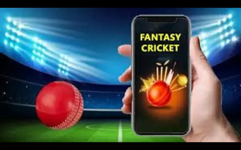 dream11 fantasy cricket app body image